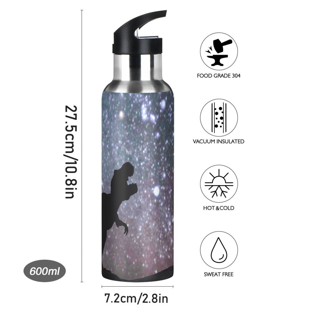 Stainless Steel Water Bottle with Straw Lid 20 OZ G151