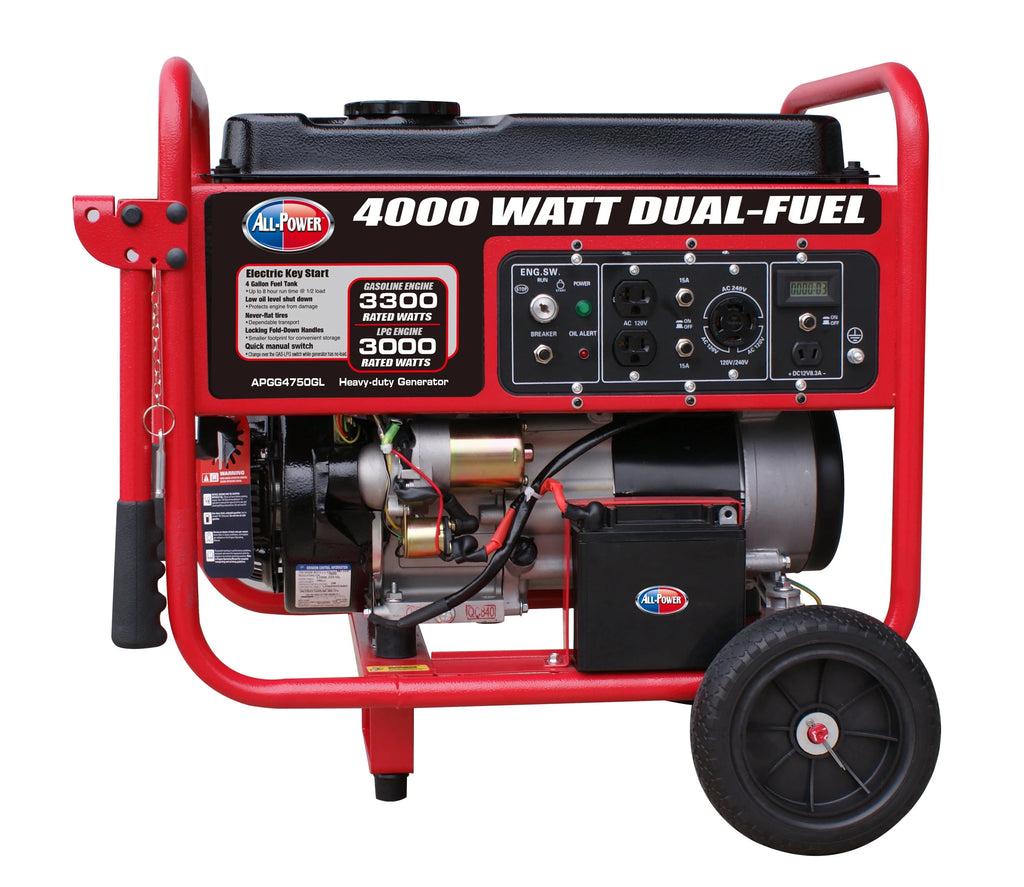 4000 Watt Dual Fuel Portable Generator S225973