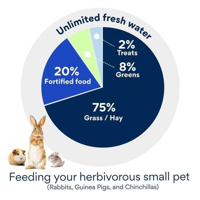 Alfalfa Hay for Rabbits & Small Pets Y918