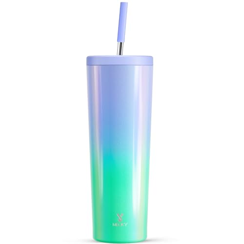 24 oz Insulated Stainless Steel Tumbler with Lid and Straw X9909
