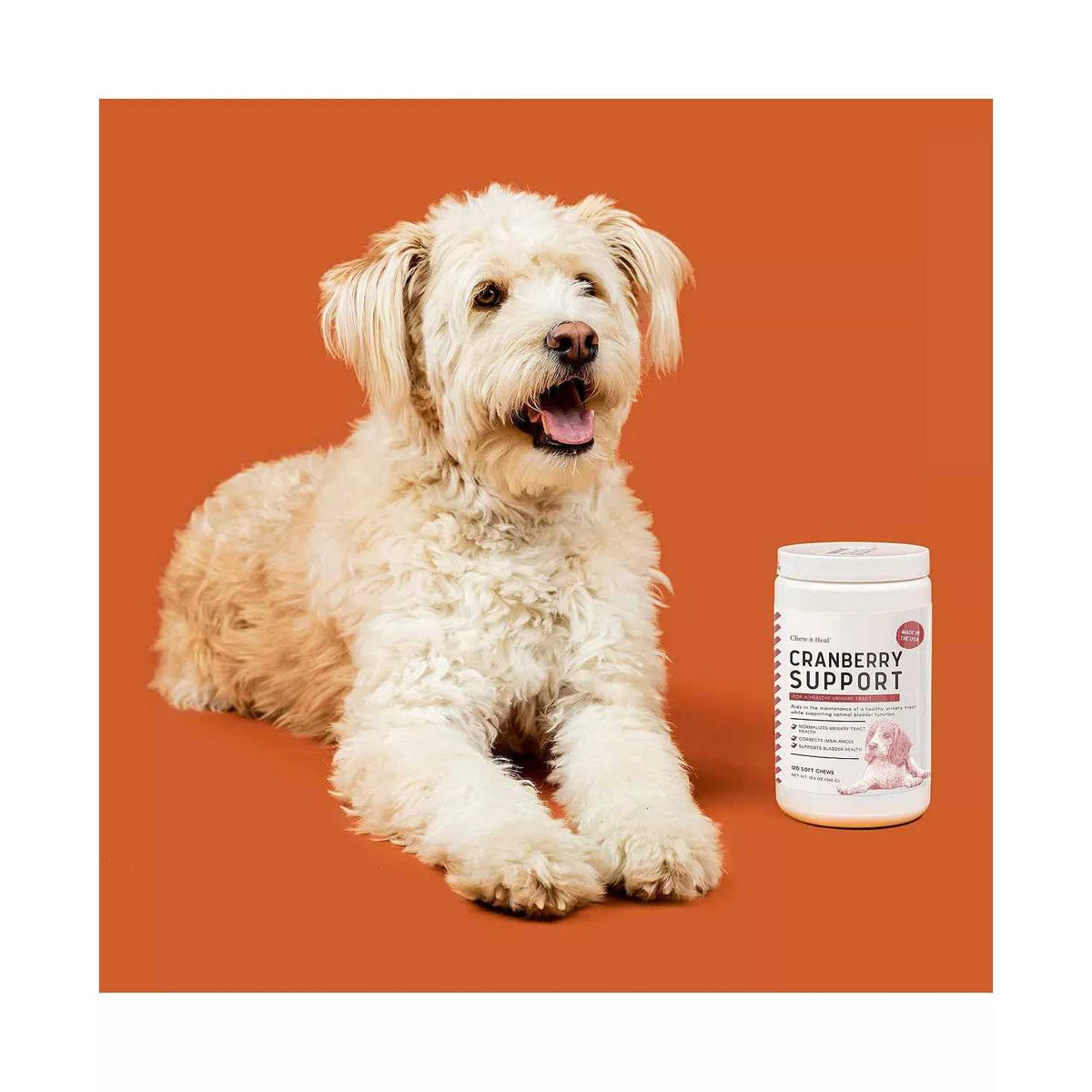 Cranberry Chews for Dogs Q4650