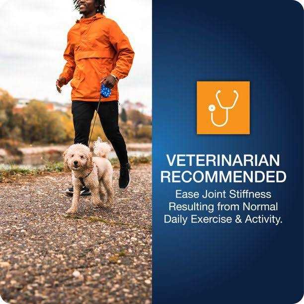 Hip & Joint Chews for Dogs K785573