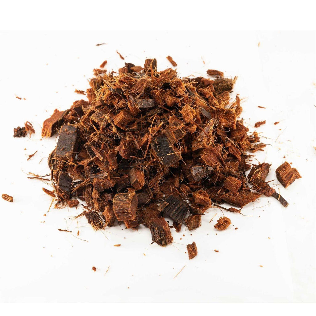Coconut Chips F24495