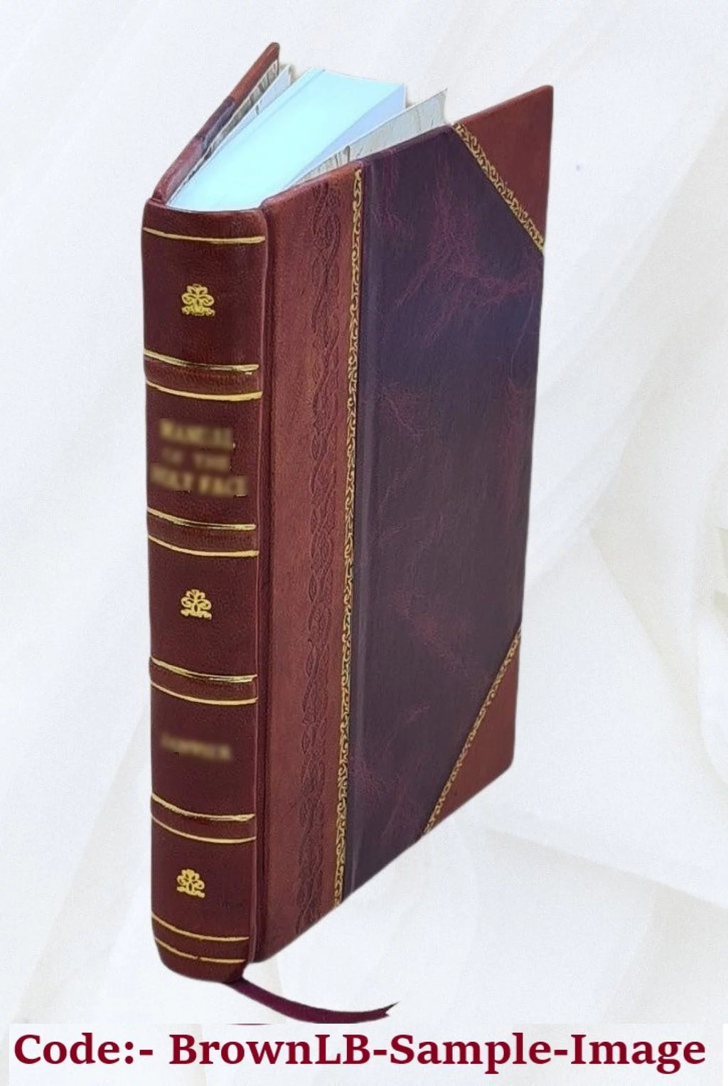 Leather Bound U6963