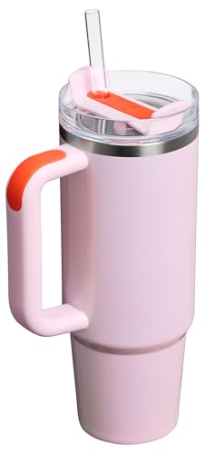 30 oz Insulated Stainless Steel Tumbler with Handle and Straw F916683