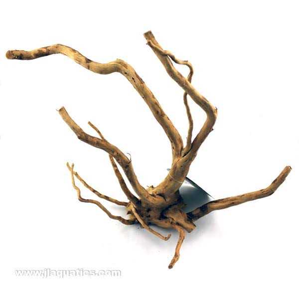 Spider Wood E834446