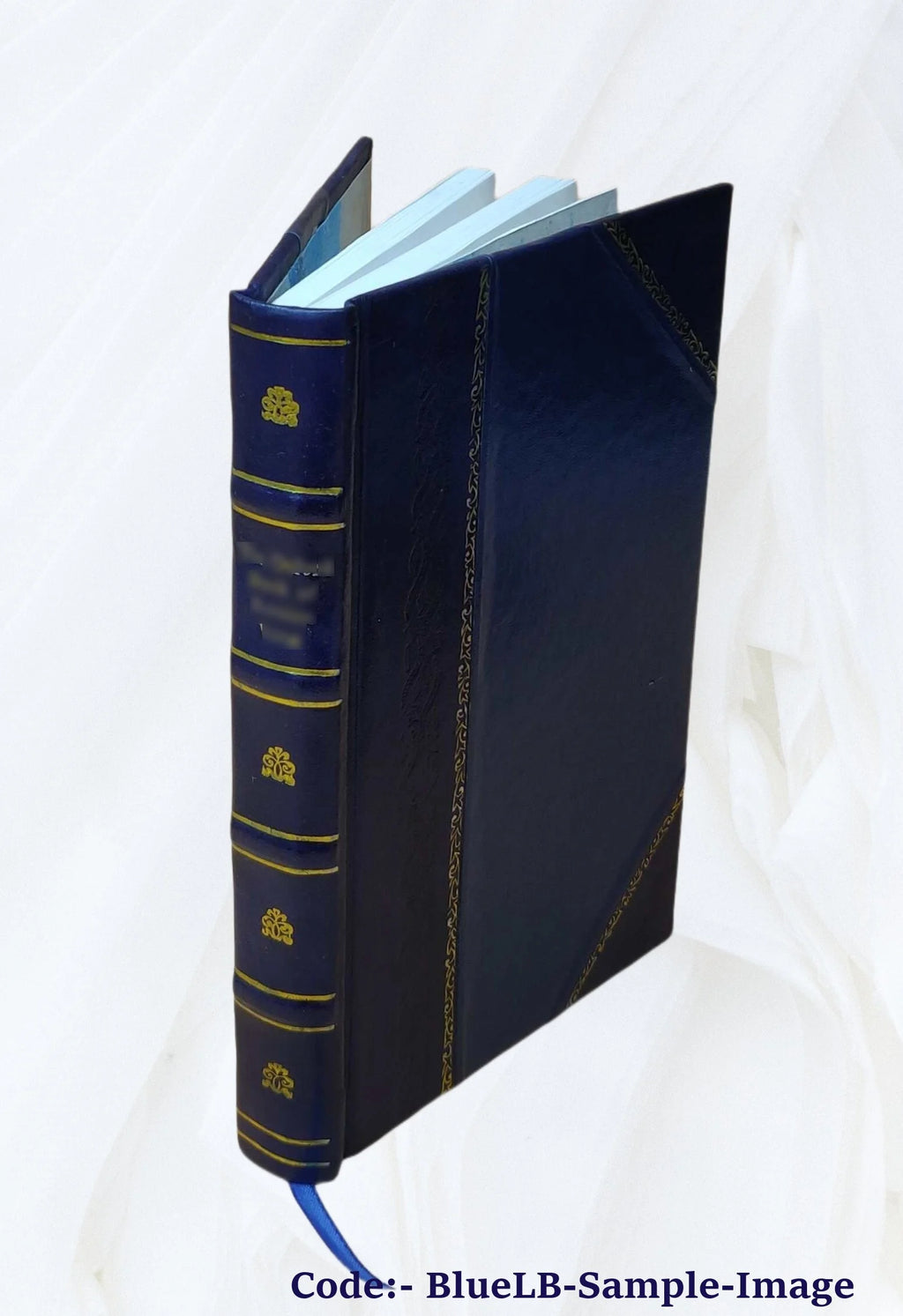 Leather Bound Book Z8573