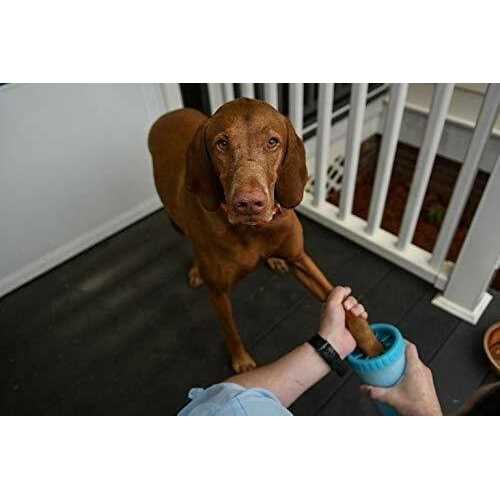 Portable Dog Paw Cleaner K4893