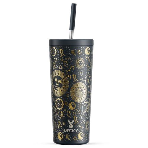 24 oz Insulated Stainless Steel Tumbler with Lid and Straw X9909