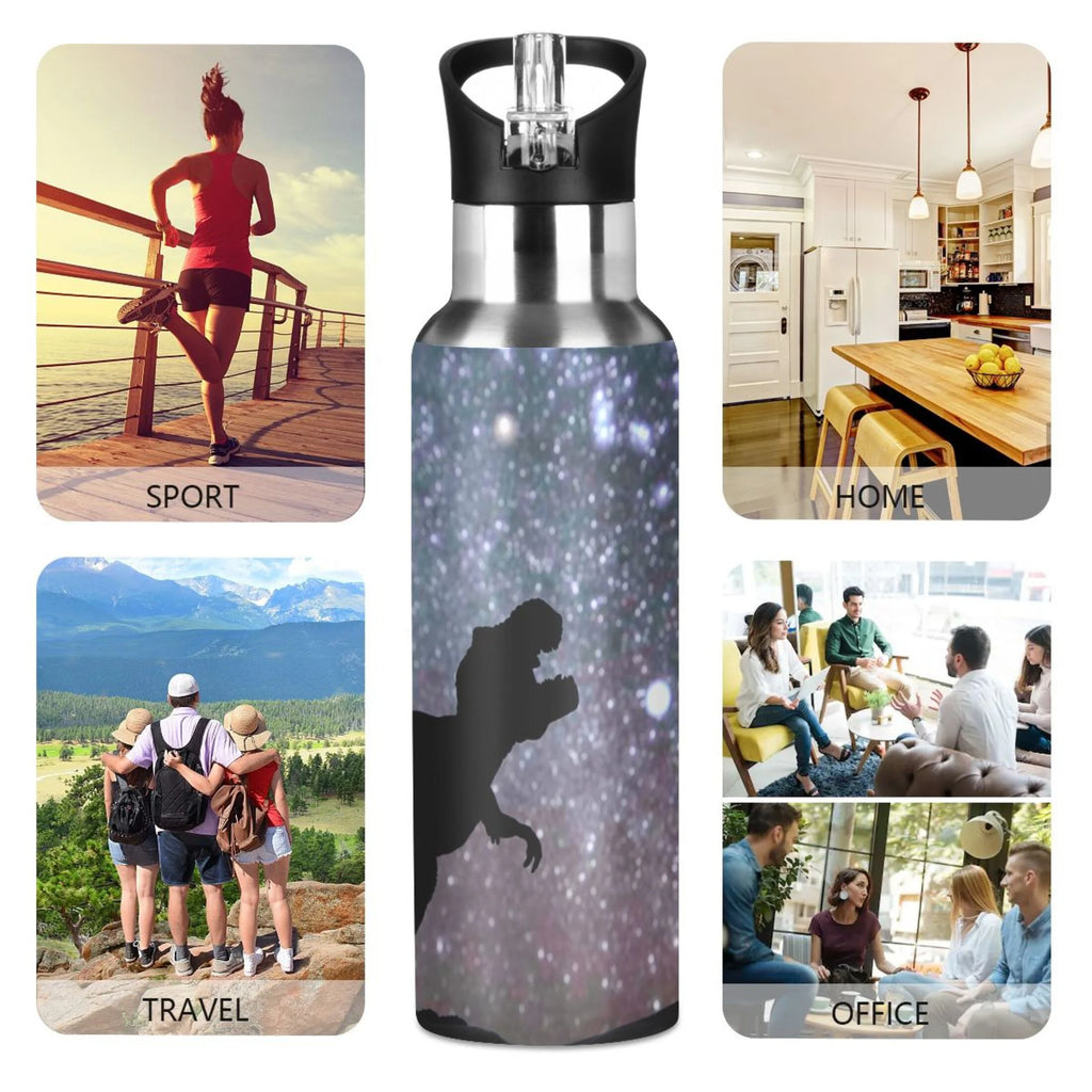 Stainless Steel Water Bottle with Straw Lid 20 OZ G151
