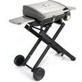 Portable Outdoor LP Gas Grill V31557