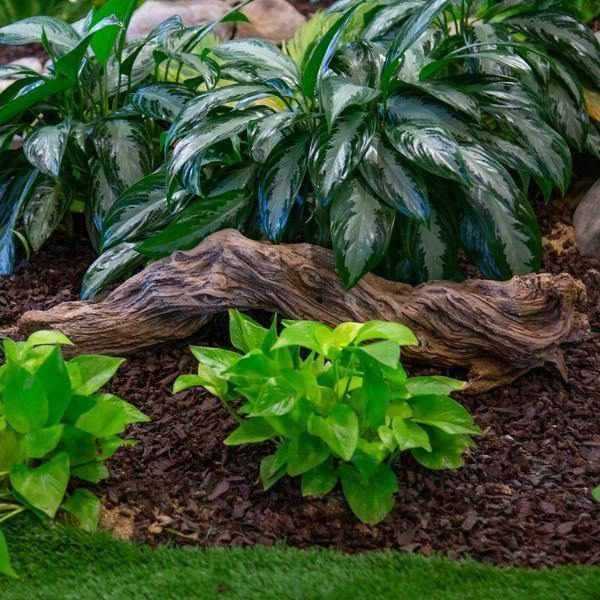 Faux Driftwood F58459