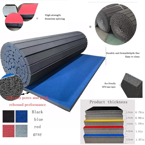 Indoor Gymnastics Track Exercise Mat with Grippy Gym Carpet Top - Sturdy Foam Wrestling Mat R3601