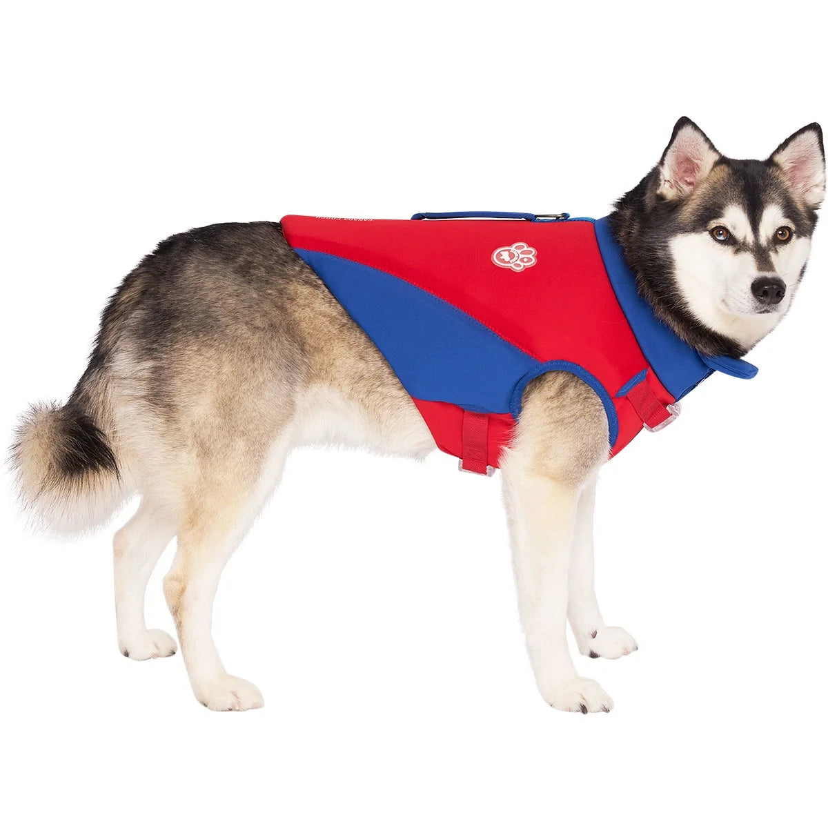Pink & Purple Dog Life Jacket, Size 10 A38481