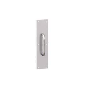 Satin Chrome Pulls and Push Plates I18970