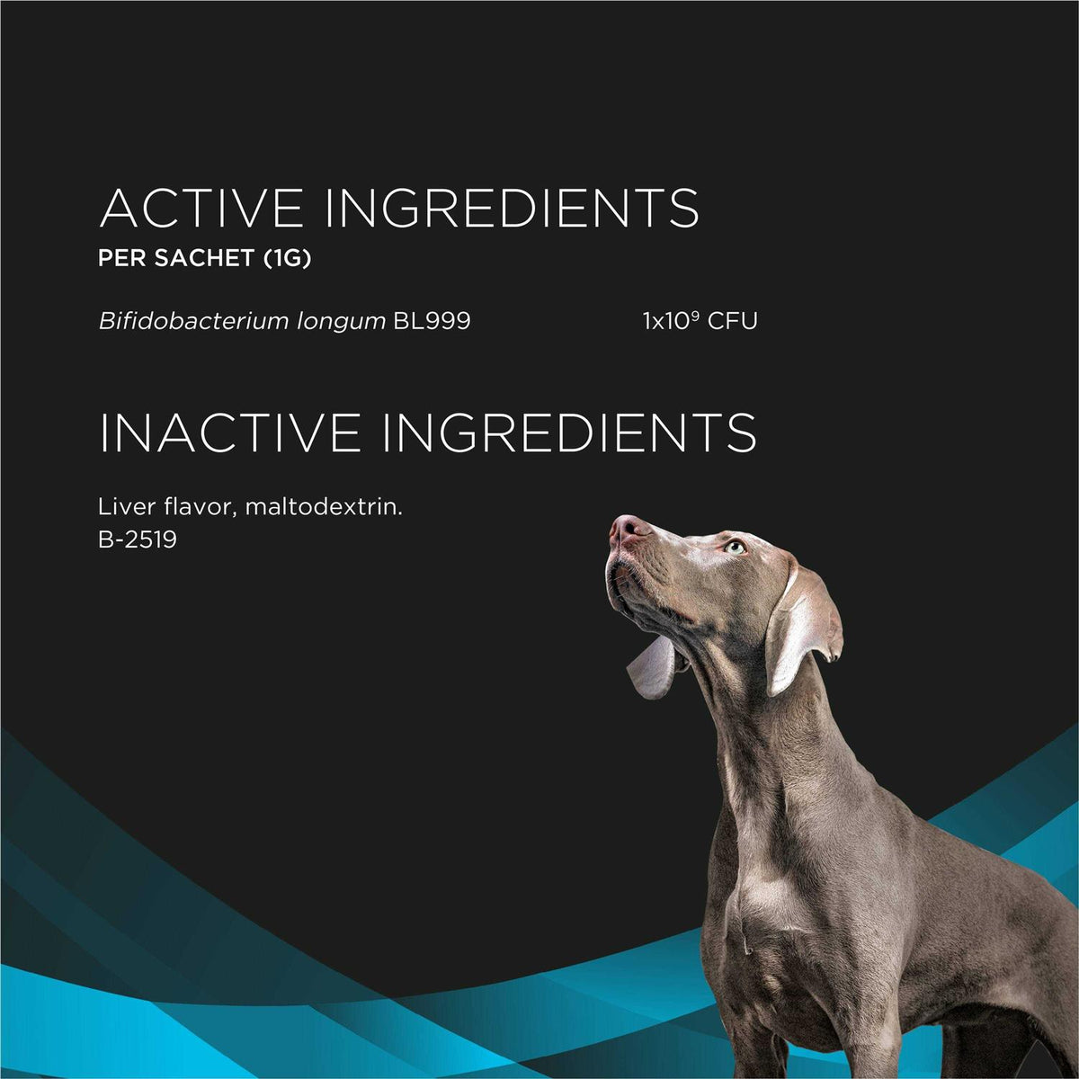 Calming Care Supplements Y168