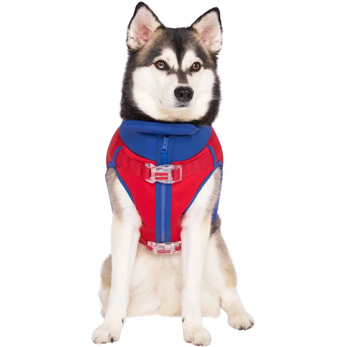 Pink & Purple Dog Life Jacket, Size 10 A38481