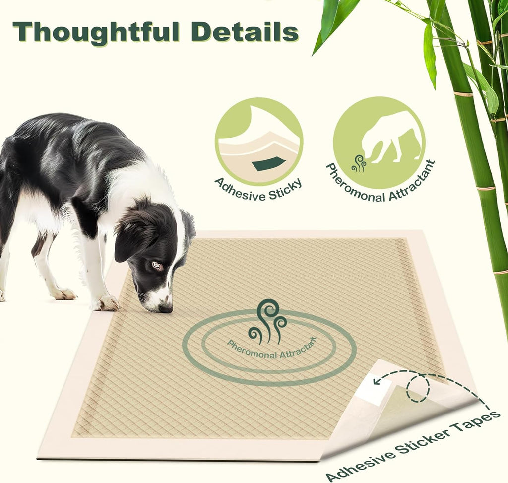 Bamboo Dog Training Pads, 28x34in Extra Large, 30 Counts F97982