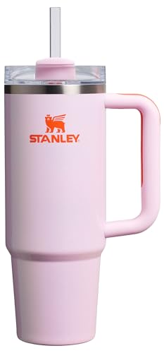 30 oz Insulated Stainless Steel Tumbler with Handle and Straw F916683