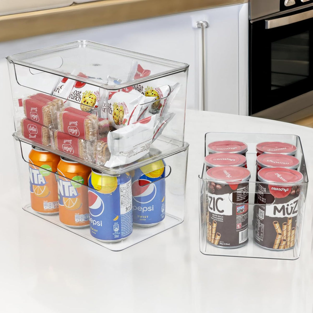 Set of 4 Clear Plastic Storage Bin with Lid W84408