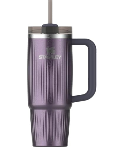 30 oz Insulated Stainless Steel Tumbler with Handle and Straw F916683