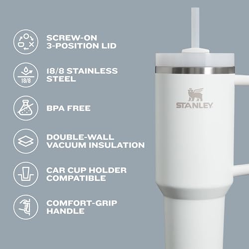 30 oz Insulated Stainless Steel Tumbler with Handle and Straw F916683