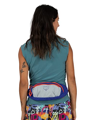 Daylite Waist Pack Q53023