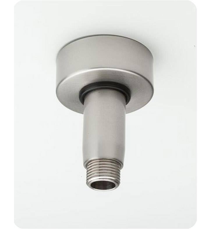 Vertical Brass Showerarm u0026 Escutcheon White T788