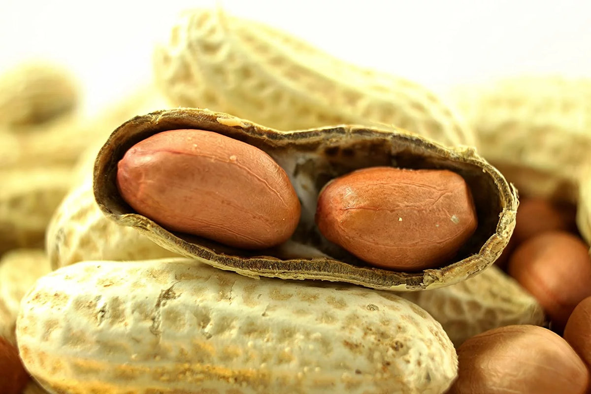50 LBS Virginia Peanuts Z822520