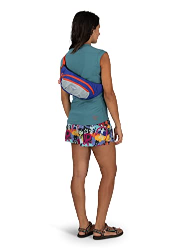 Daylite Waist Pack Q53023