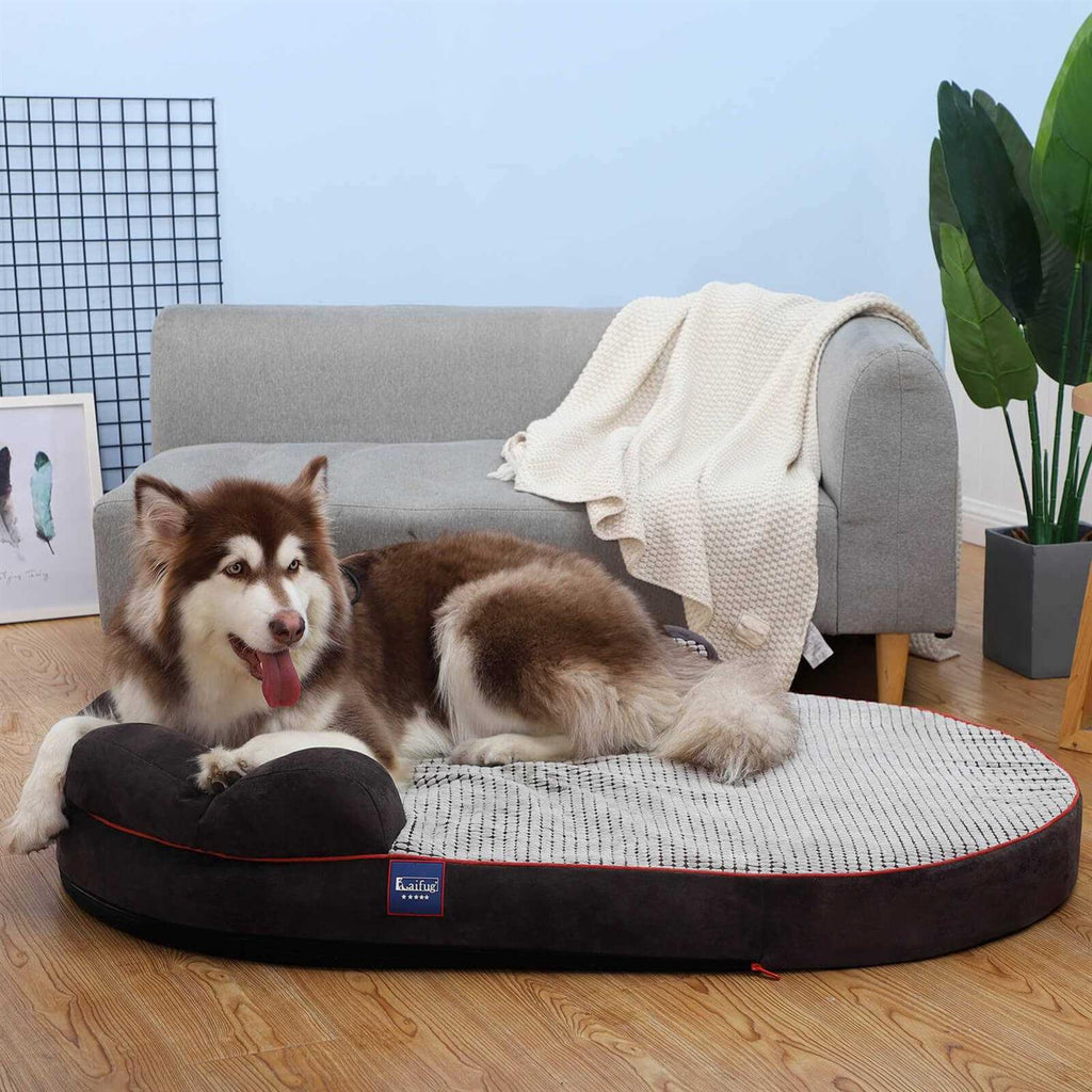 Oval Dog Bed G233512