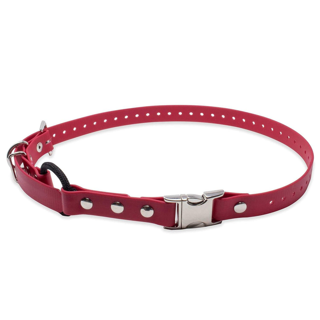 Bungee Collar Z173