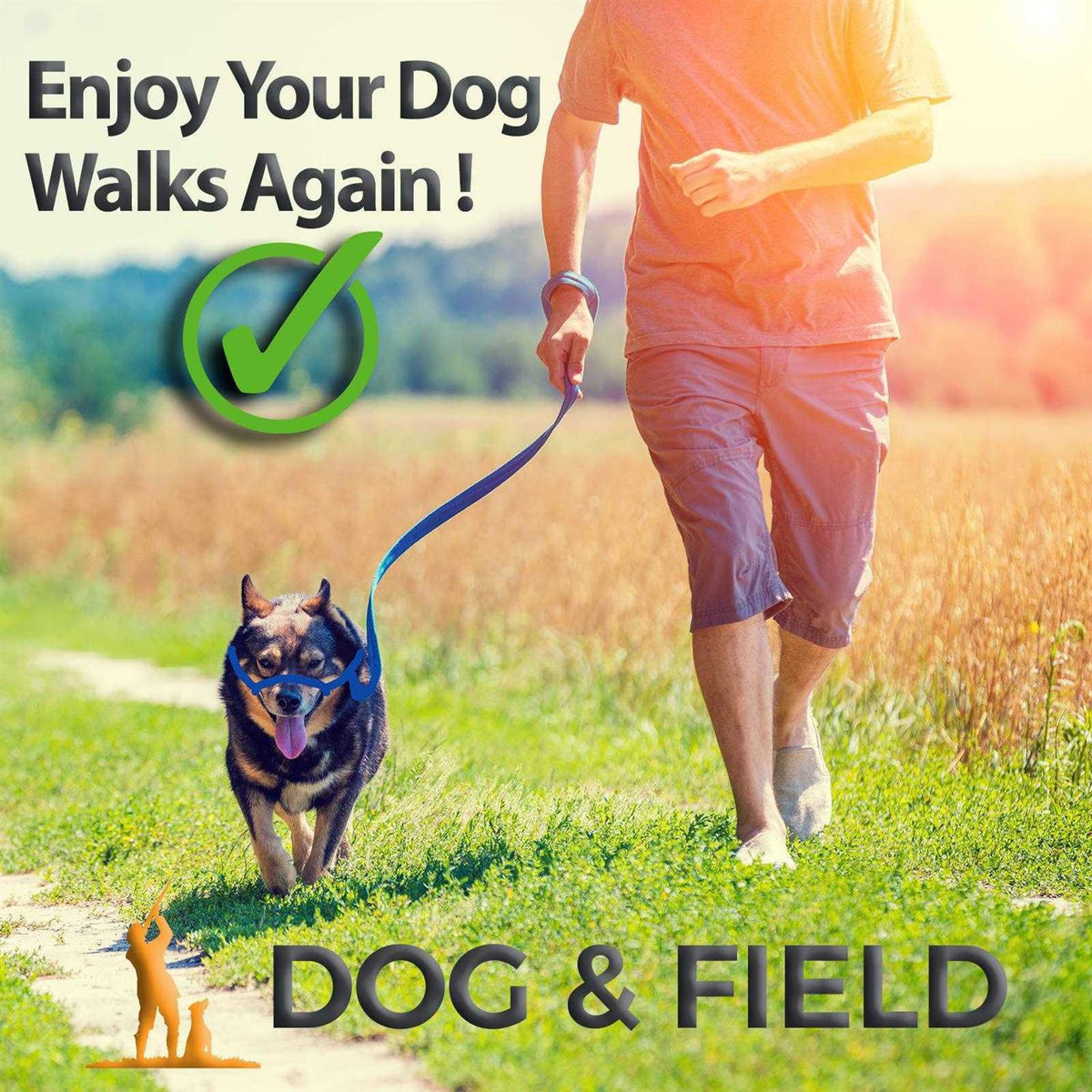 Anti Pull Dog Leash Halter Head Collar One Size Fits All Z80530