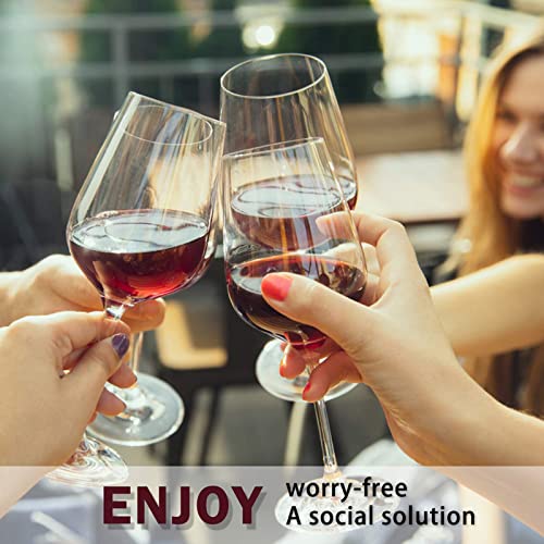 Wine Sulfite Filter 12 Pack D401
