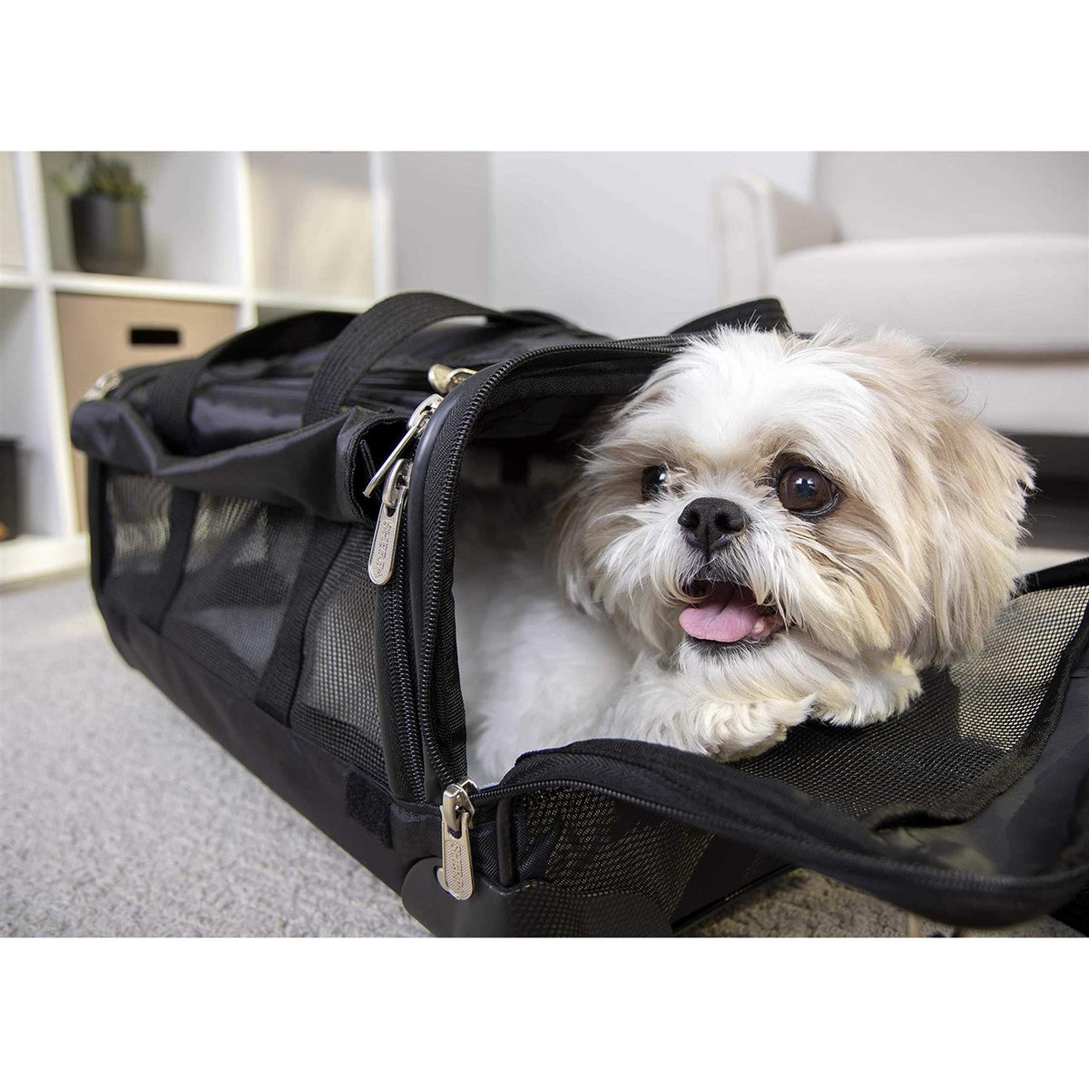 Pet Carrier On Wheels Y634713
