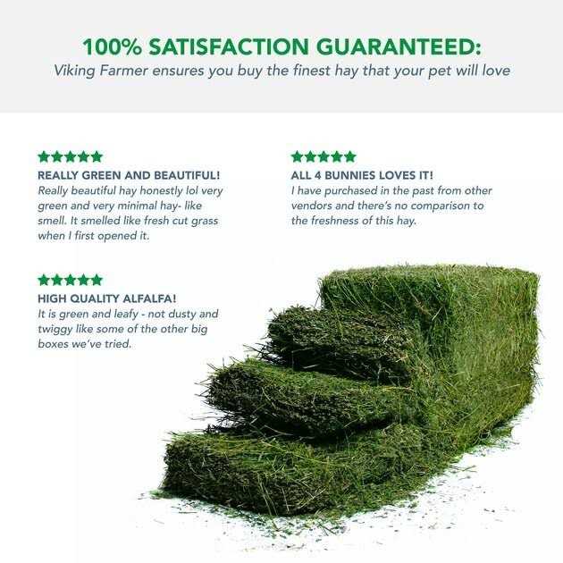 Alfalfa Hay for Rabbits & Small Pets Y918
