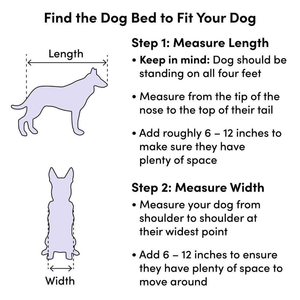 Pet Bed R39887
