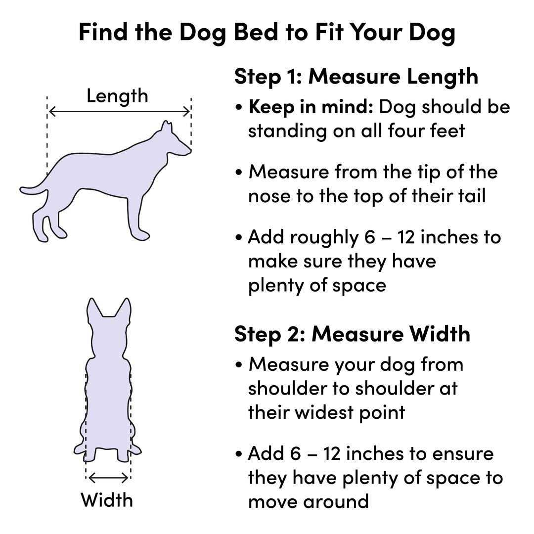 Pet Bed R39887