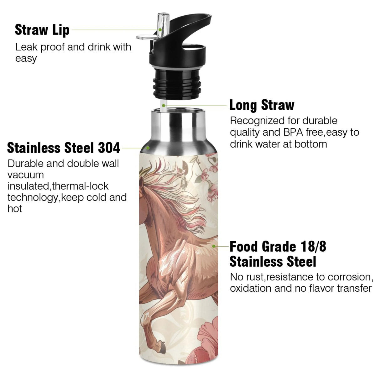 Insulated Thermos Stainless Steel Water Bottle with Straw Lid Flask, 20 oz S9643