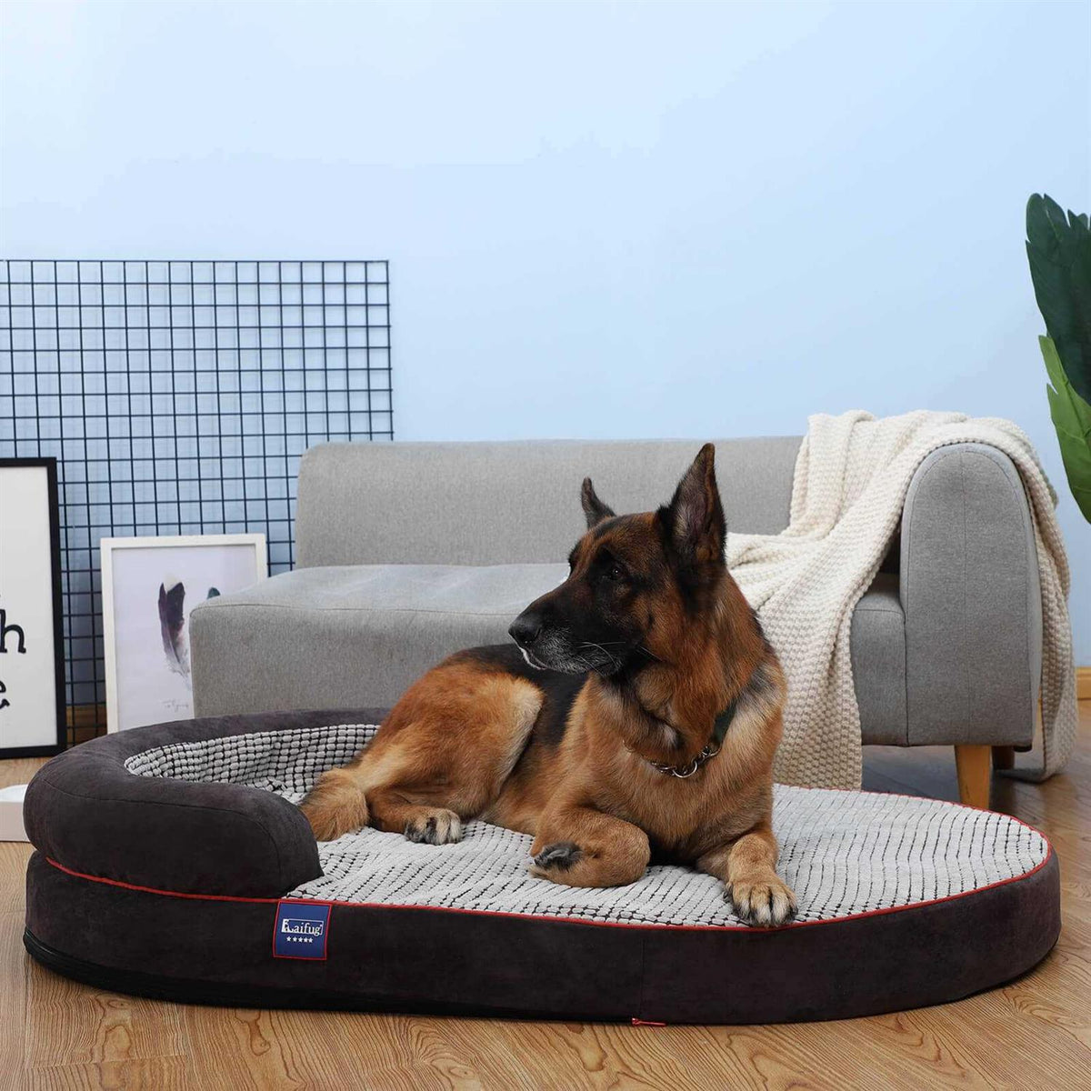 Oval Dog Bed G233512