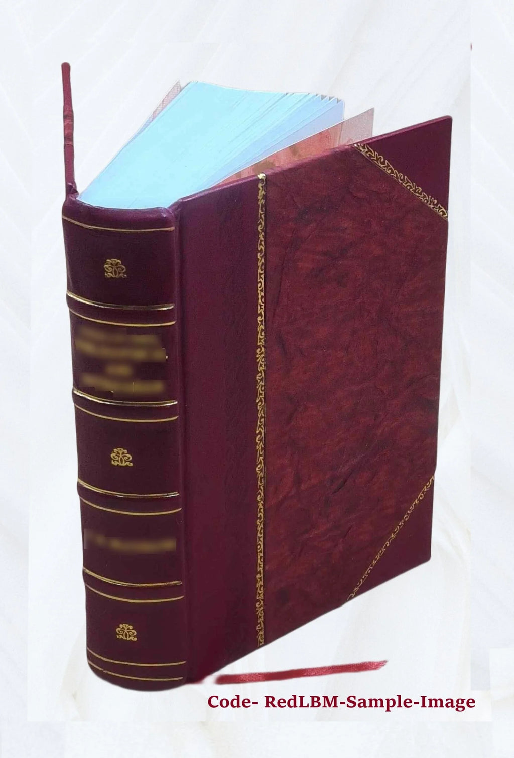 Westward ho! or, The voyages and adventures of Sir Amyas Leigh, knight of Burrough, in the county of Devon, in the reign of Her Most Glorious Majesty, Queen Elizabeth, rendered int P6482