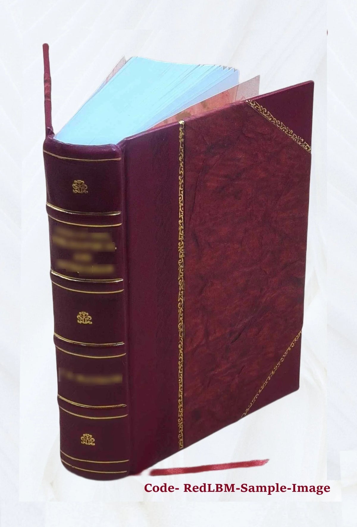 Westward ho! or, The voyages and adventures of Sir Amyas Leigh, knight of Burrough, in the county of Devon, in the reign of Her Most Glorious Majesty, Queen Elizabeth, rendered int P6482