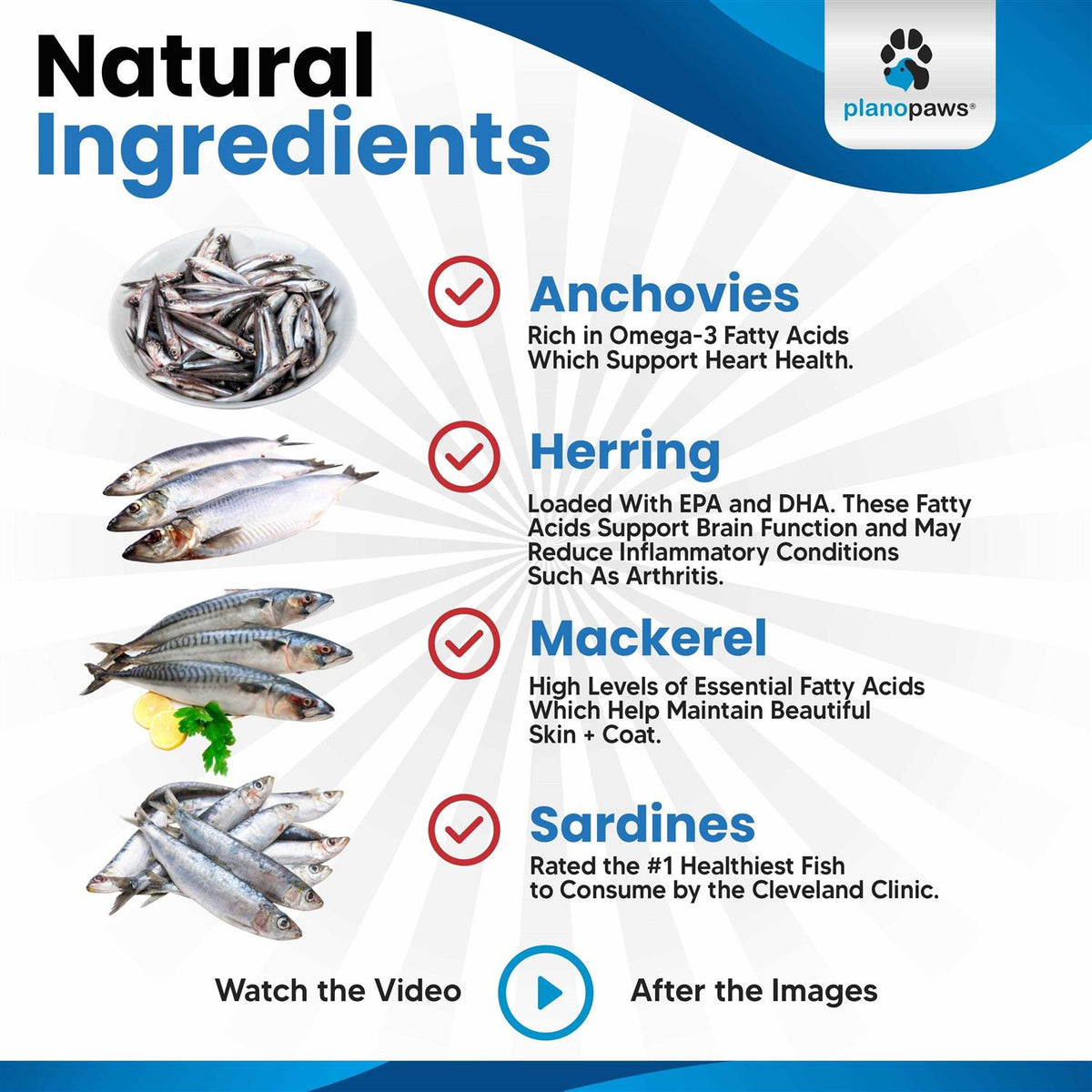 Omega 3 Fish Oil for Dogs W777279