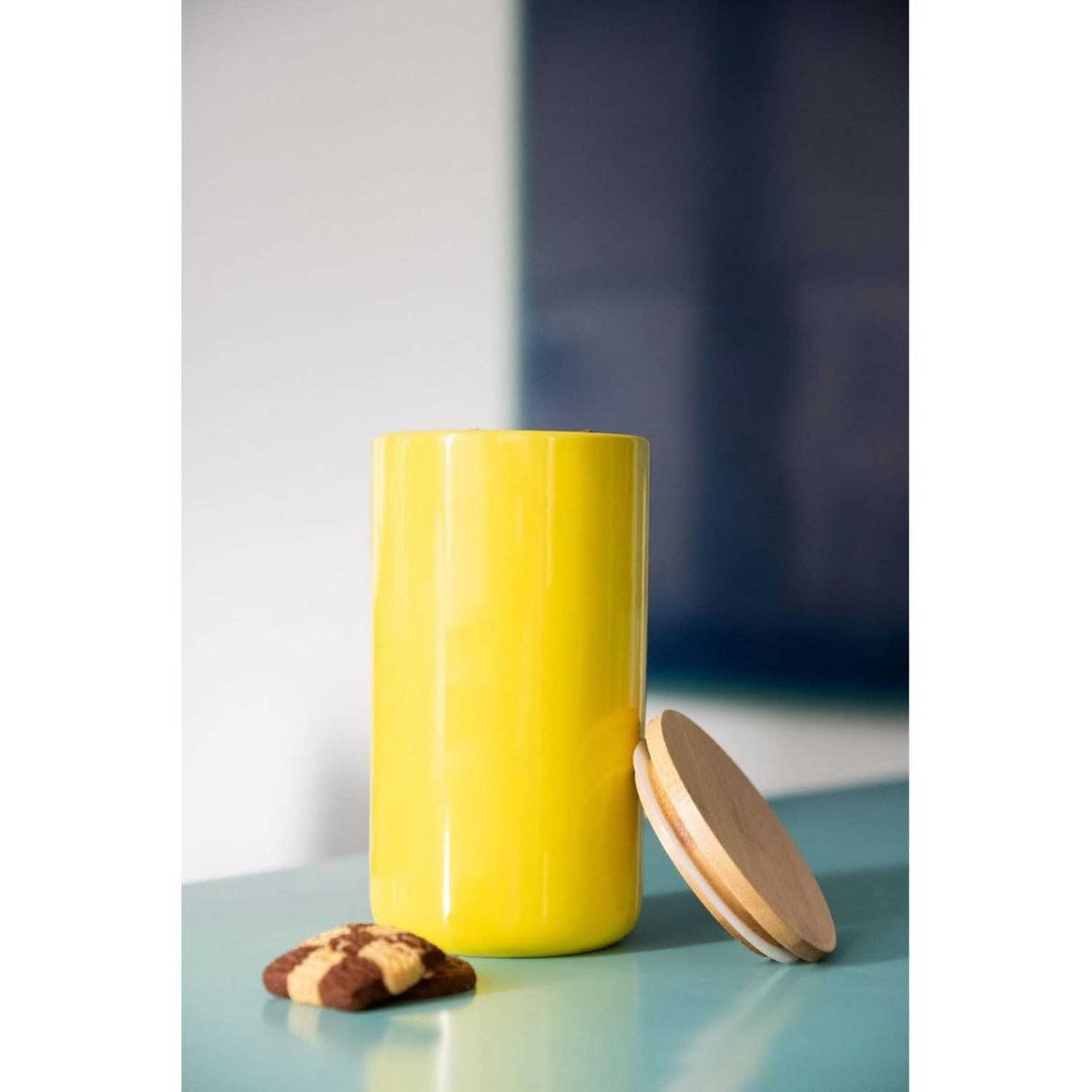 Solid Dog Treat Jar Y770711