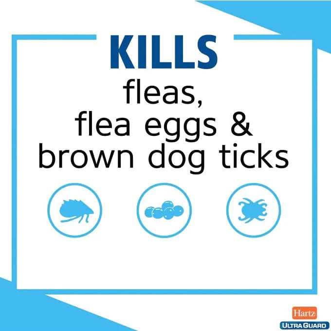 Citrus Flea & Tick Shampoo E3381