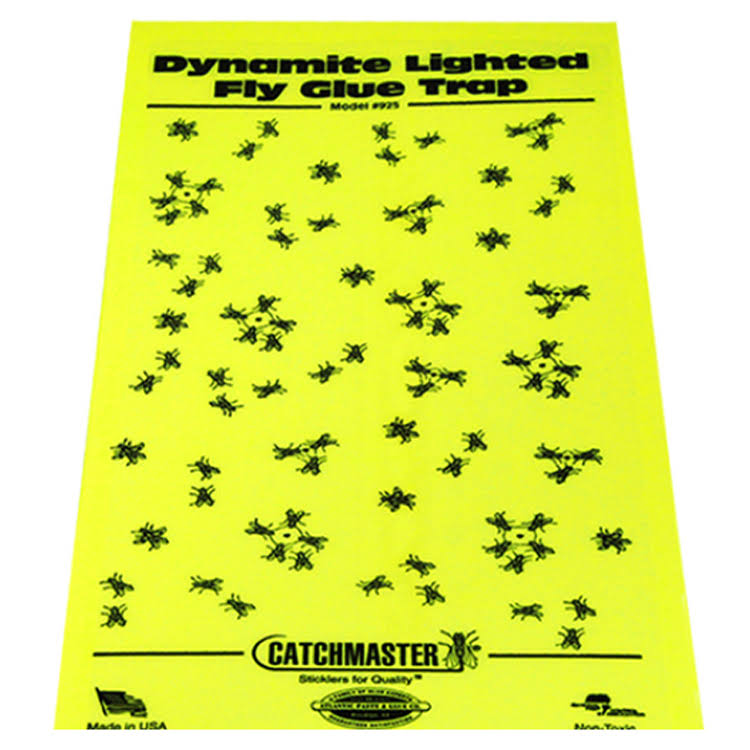 25 Pk Replacement Glue Boards for 911 Trap Z500