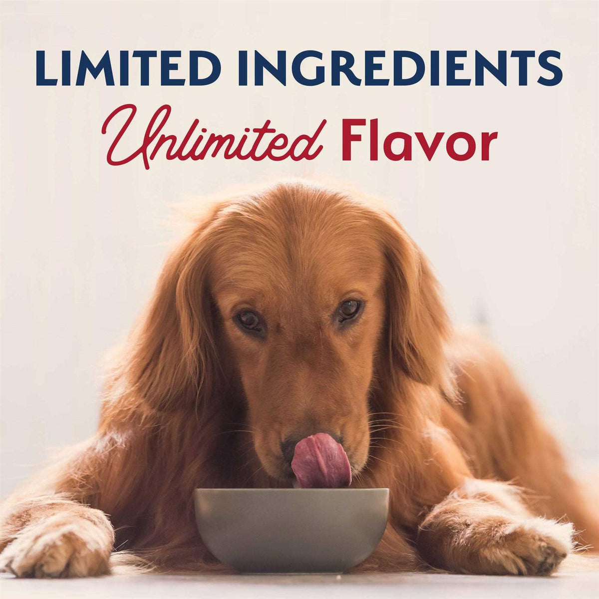 Limited Ingredient Sweet Potato Bison Dry Dog Food T850055