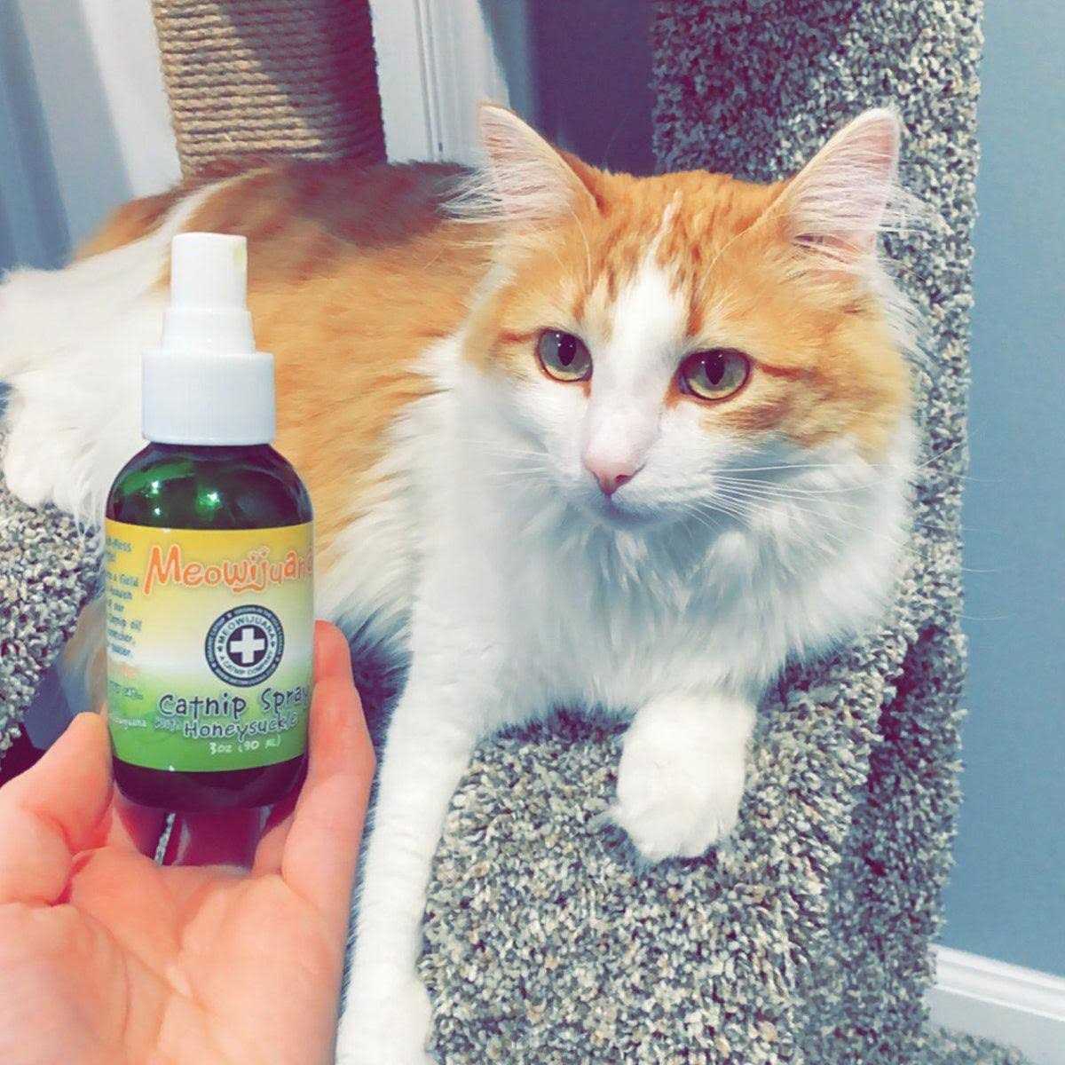 Catnip Spray F561