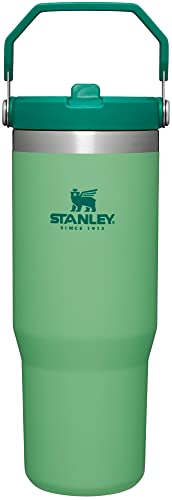 Stainless Steel Vacuum Insulated Tumbler with Straw A32817