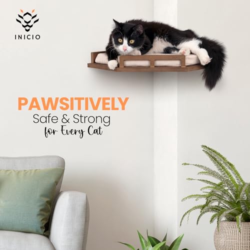 Brown 3 Step Cat Wall Shelves J50603